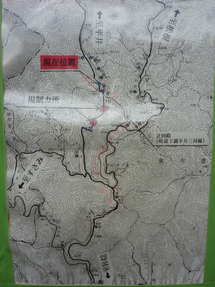 P1020987_mid.jpg