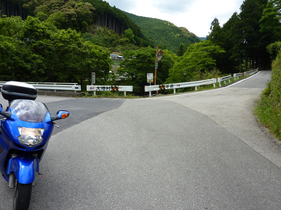 P1020988_mid.jpg