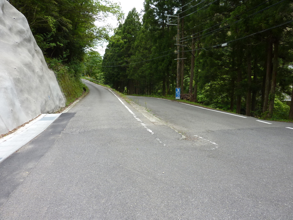 P1020989_mid.jpg