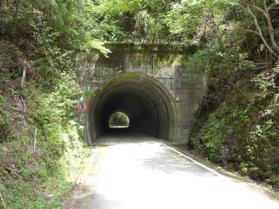 P1020990_mid.jpg