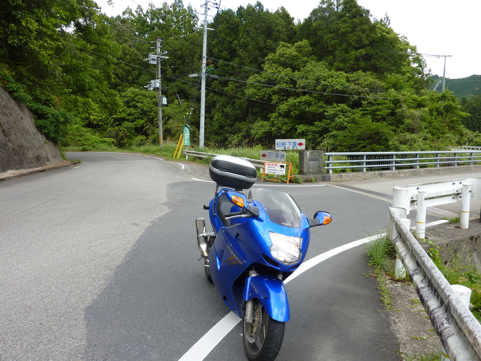 P1020992_mid.jpg