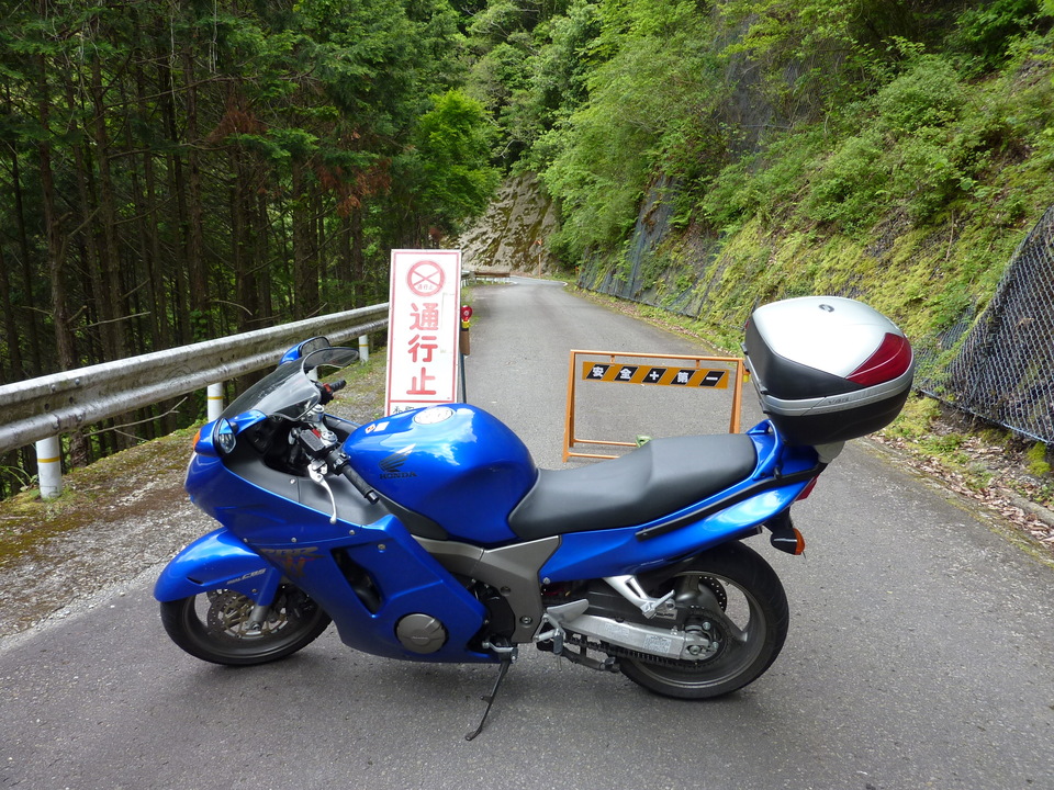 P1020997_mid.jpg