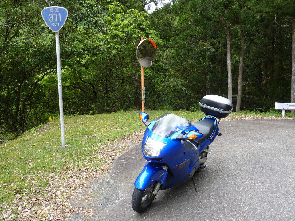 P1020999_mid.jpg