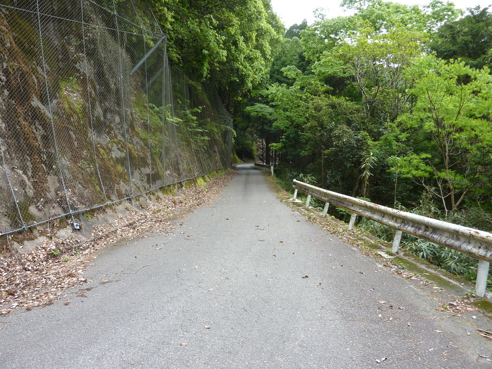 P1030002_mid.jpg