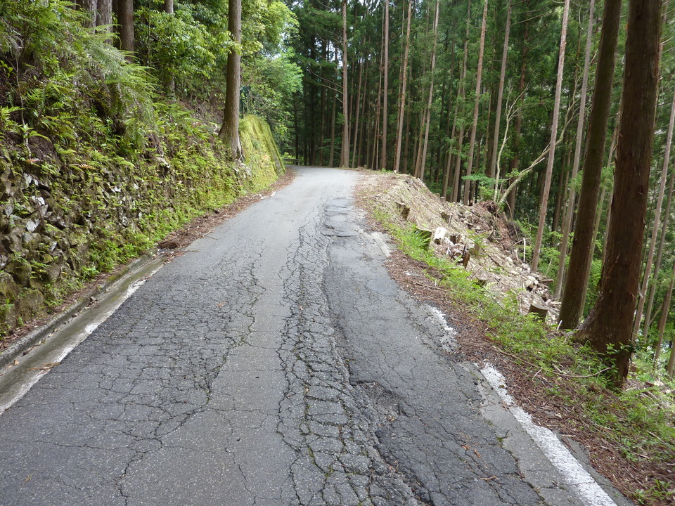 P1030003_mid.jpg