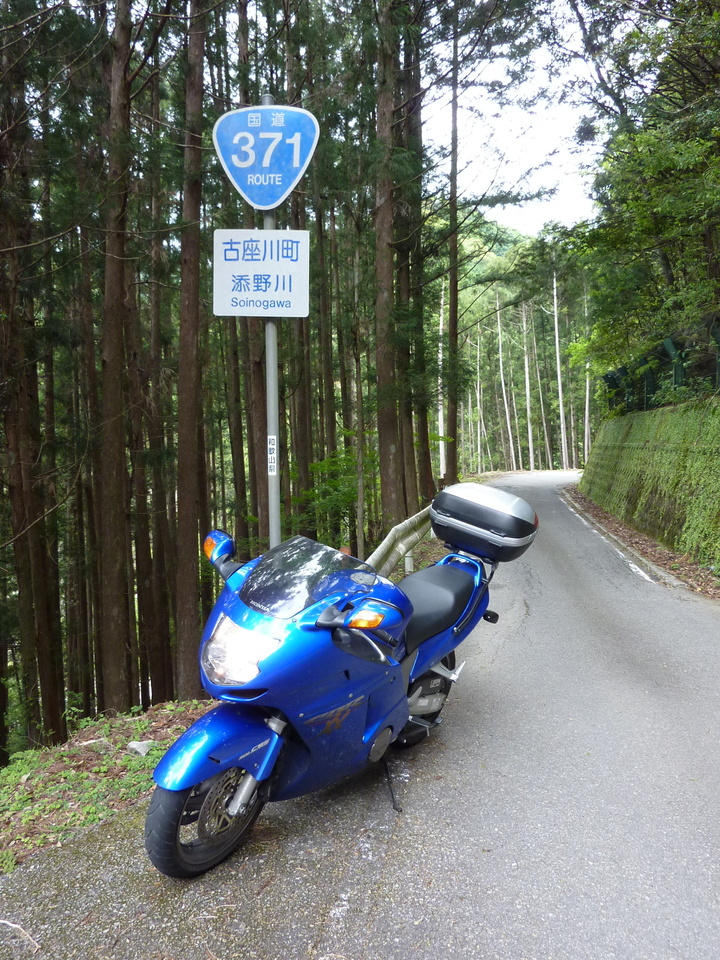 P1030005_mid.jpg