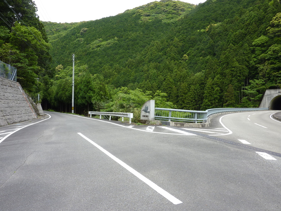 P1030033_mid.jpg