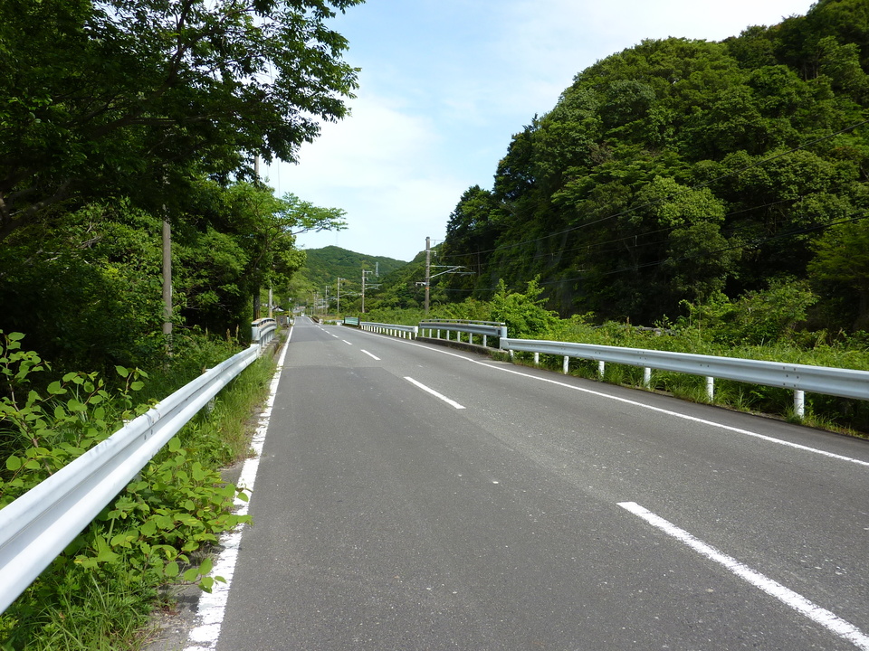 P1030054_mid.jpg