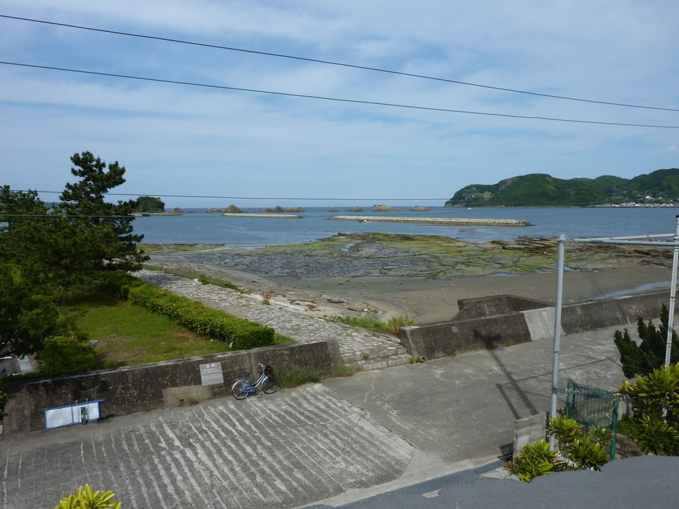 P1030074_mid.jpg