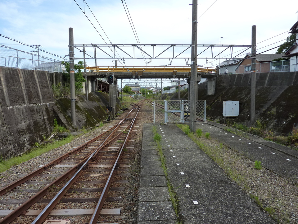 P1030091_mid.jpg