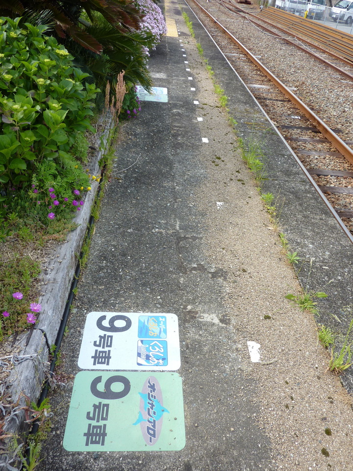 P1030092_mid.jpg