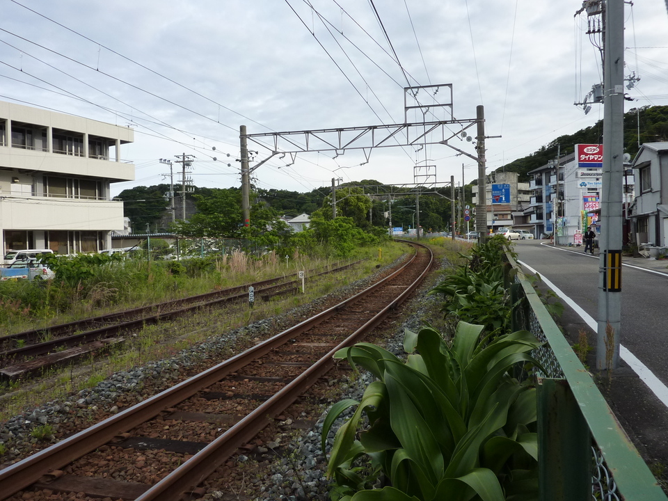 P1030107_mid.jpg