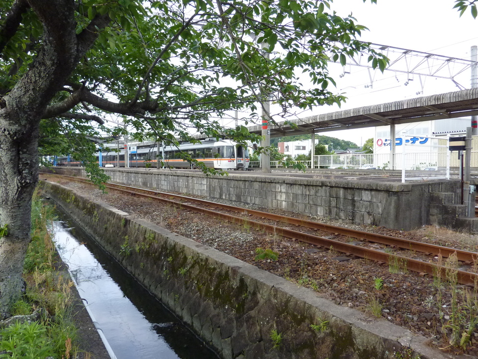 P1030110_mid.jpg