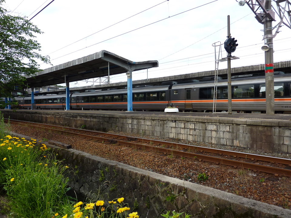 P1030112_mid.jpg