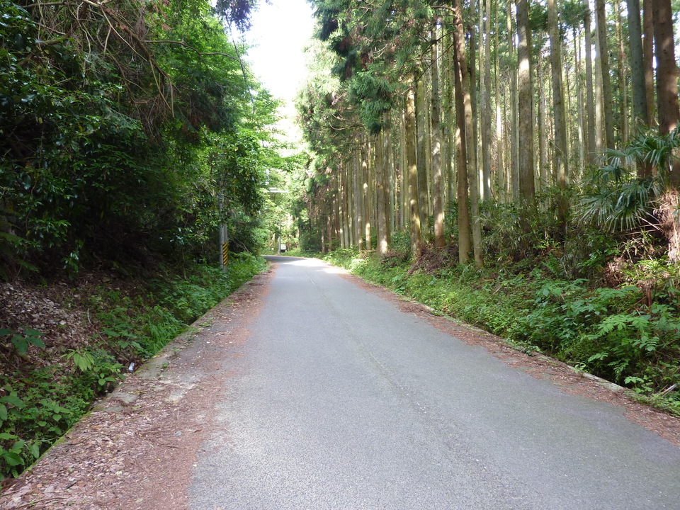 P1030156_mid.jpg