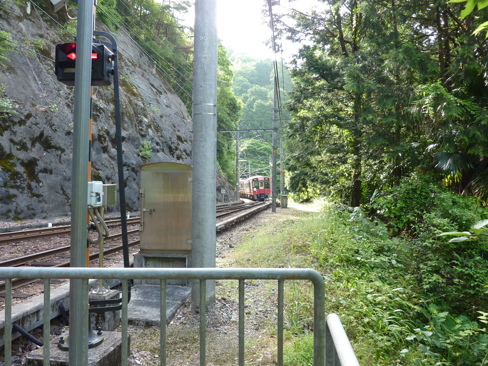 P1030202_mid.jpg