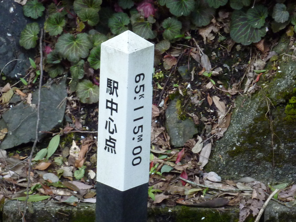 P1030236_mid.jpg