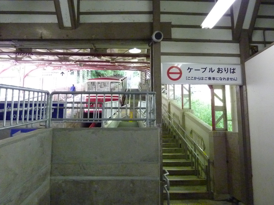 P1030250_mid.jpg