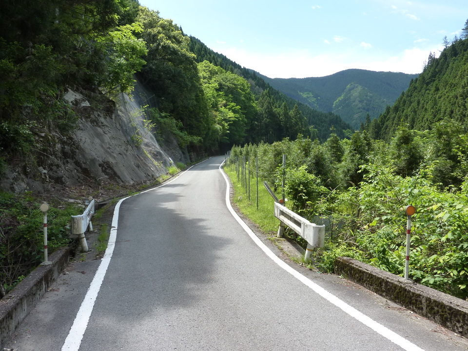 P1030320_mid.jpg