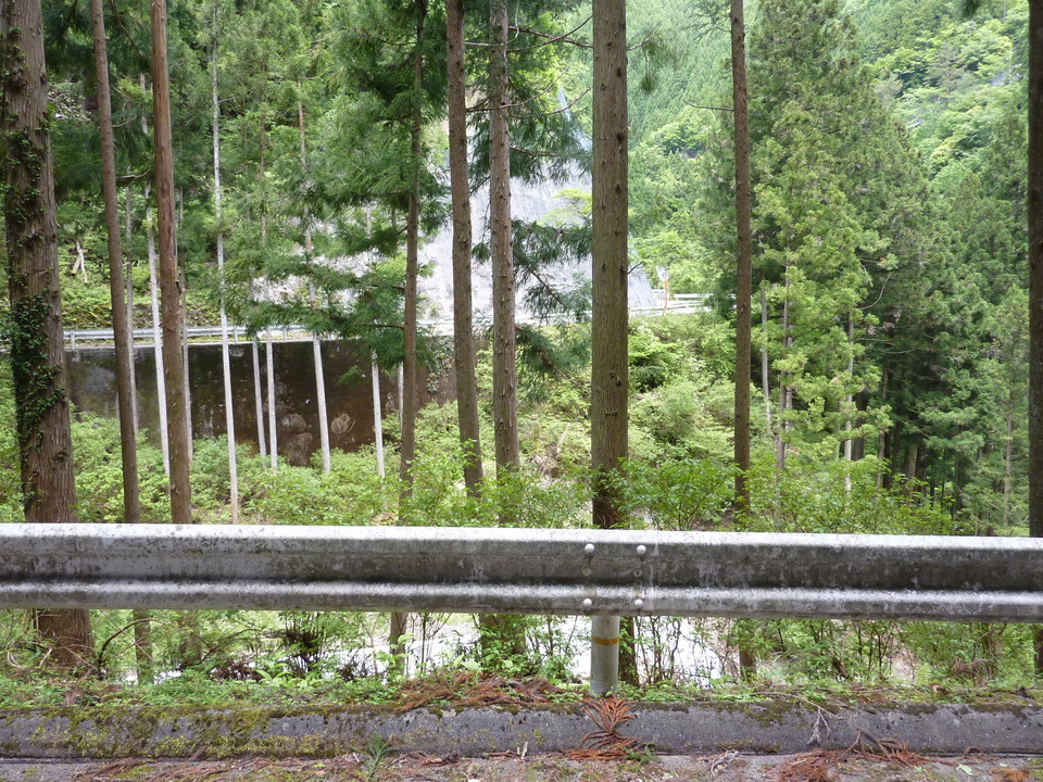 P1030328_mid.jpg