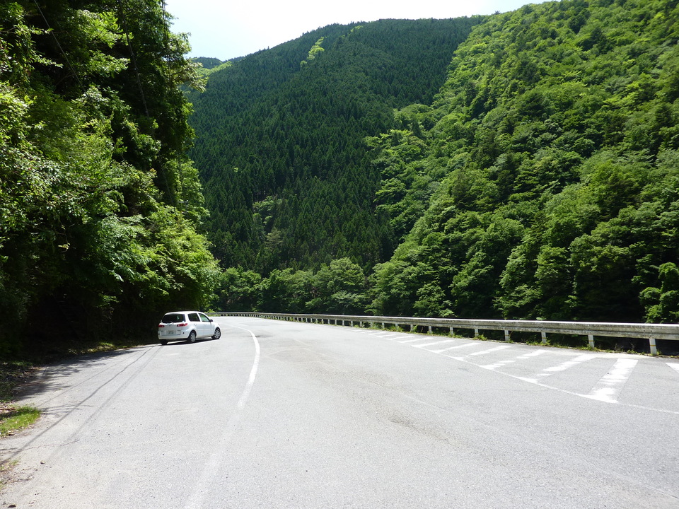 P1030353_mid.jpg