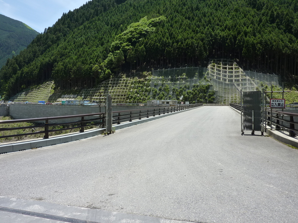 P1030361_mid.jpg