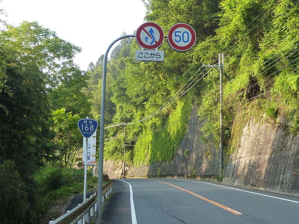 P1030381_mid.jpg