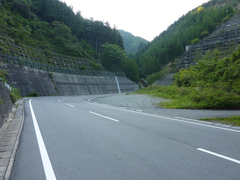 P1030403_mid.jpg