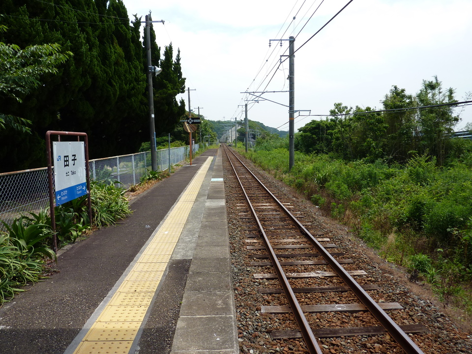 P1030532_mid.jpg