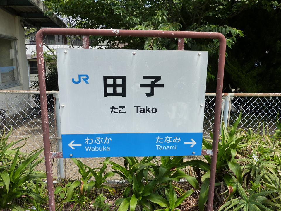 P1030533_mid.jpg