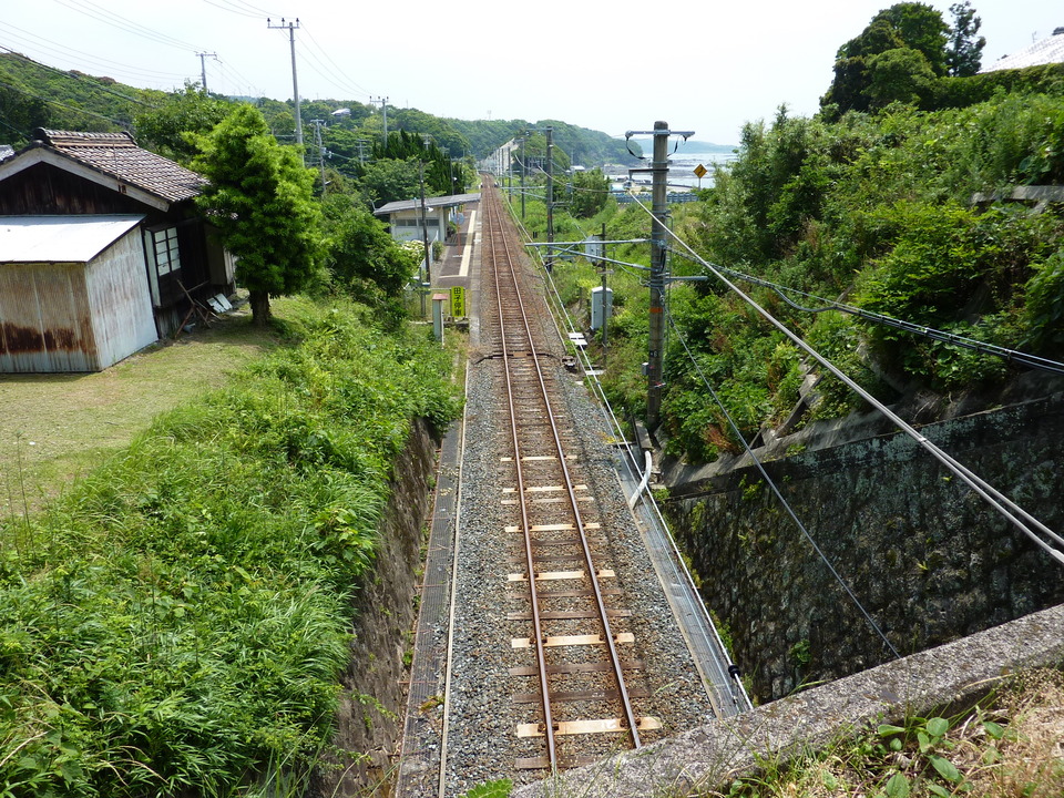 P1030538_mid.jpg
