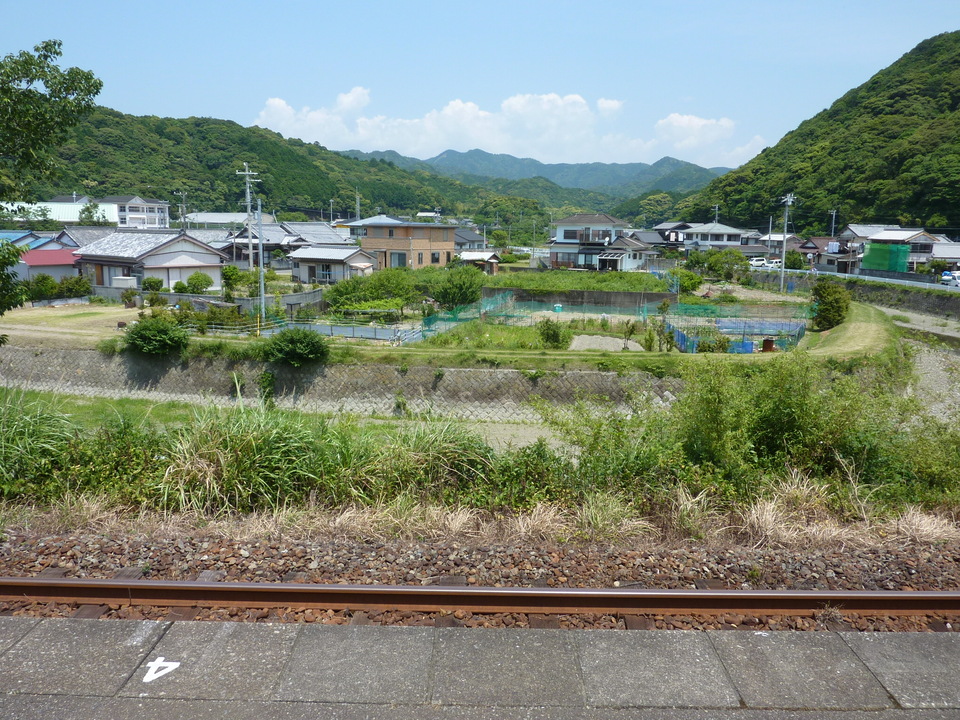 P1030547_mid.jpg