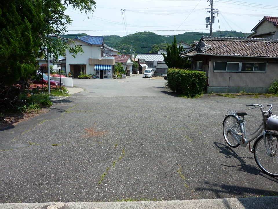 P1030581_mid.jpg
