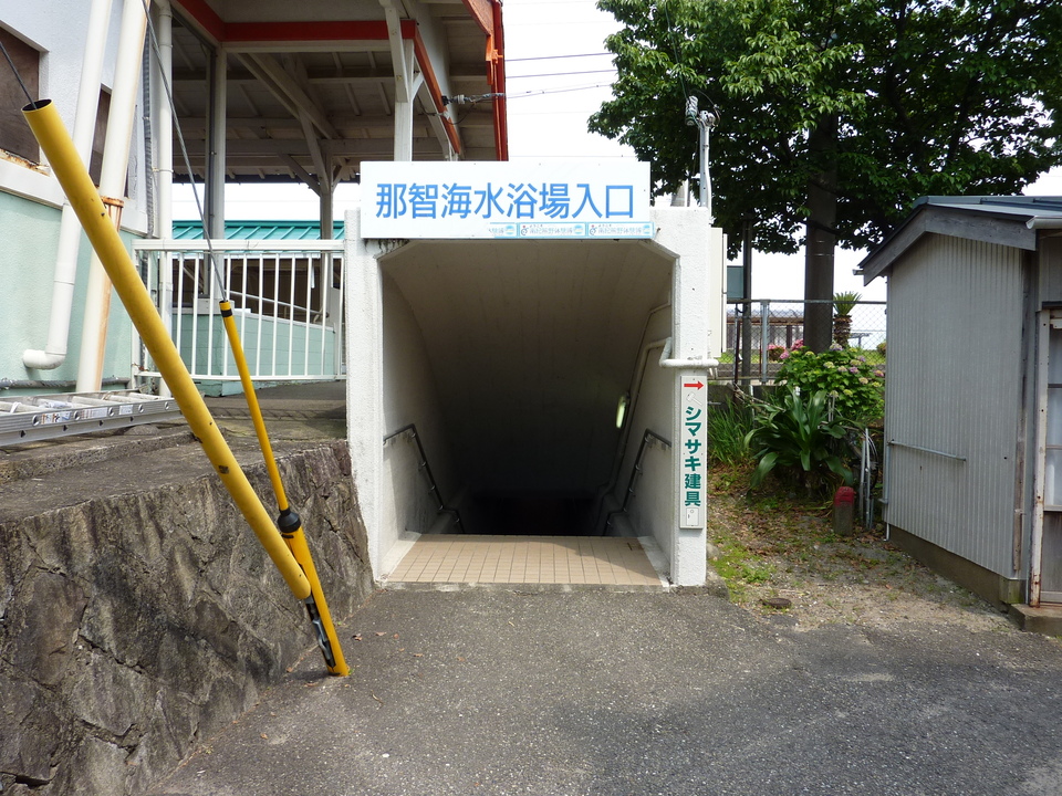 P1030638_mid.jpg