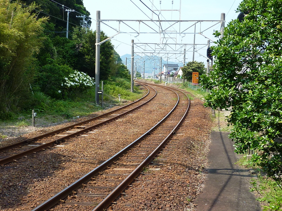 P1030647_mid.jpg