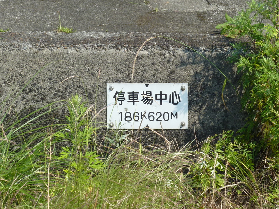 P1030662_mid.jpg
