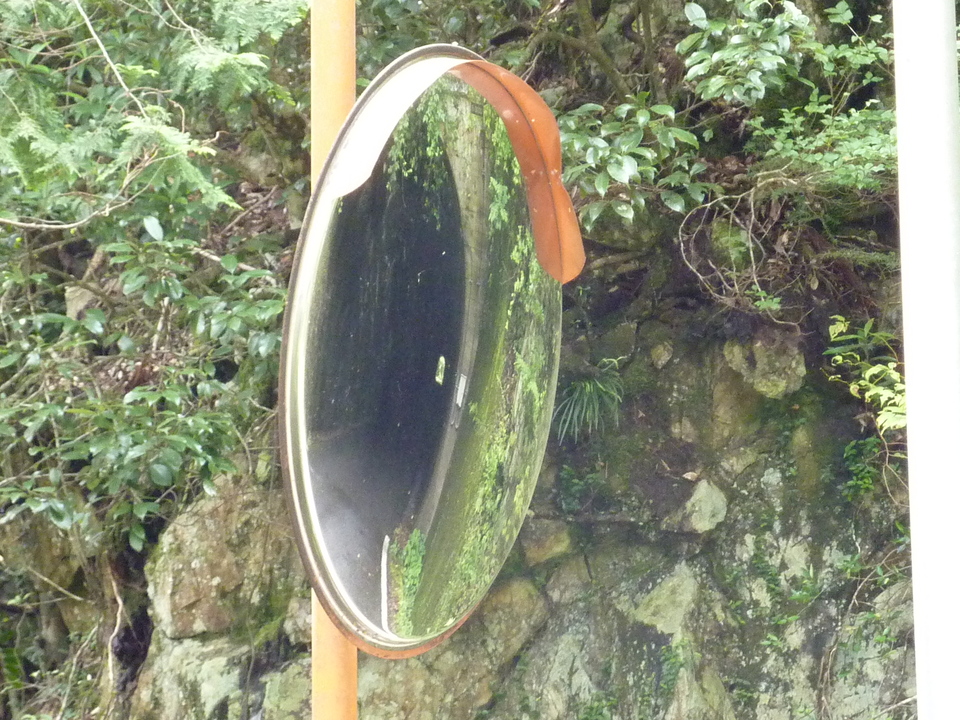 P1040023_mid.jpg