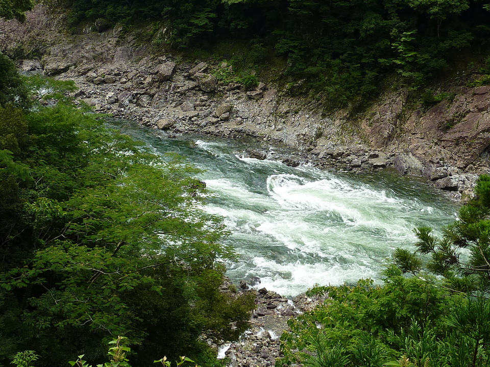P1040036_mid.jpg