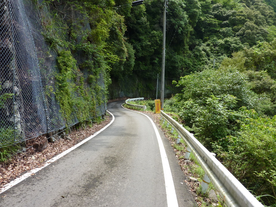 P1040073_mid.jpg