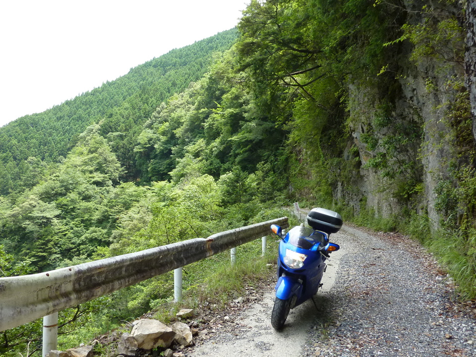 P1040142_mid.jpg