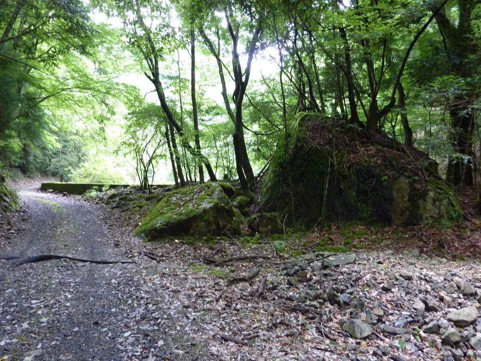 P1040164_mid.jpg