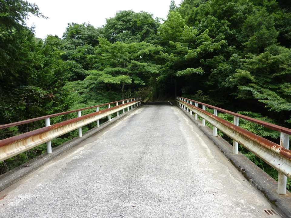 P1040184_mid.jpg