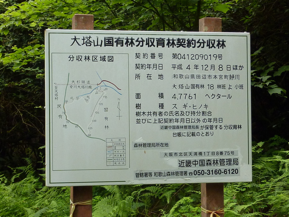 P1040186_mid.jpg