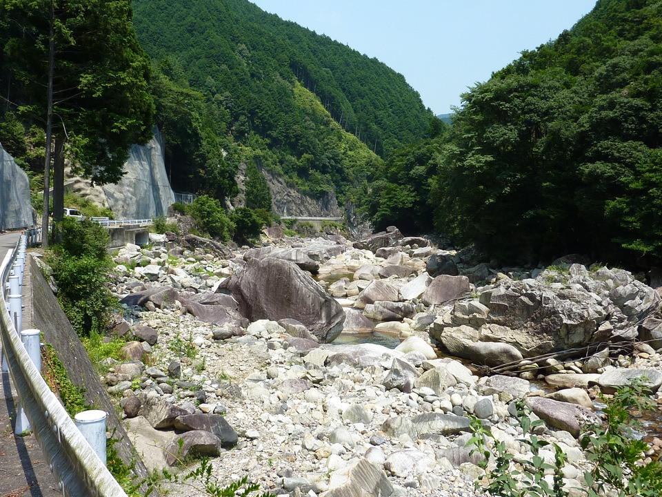 P1040318_mid.jpg