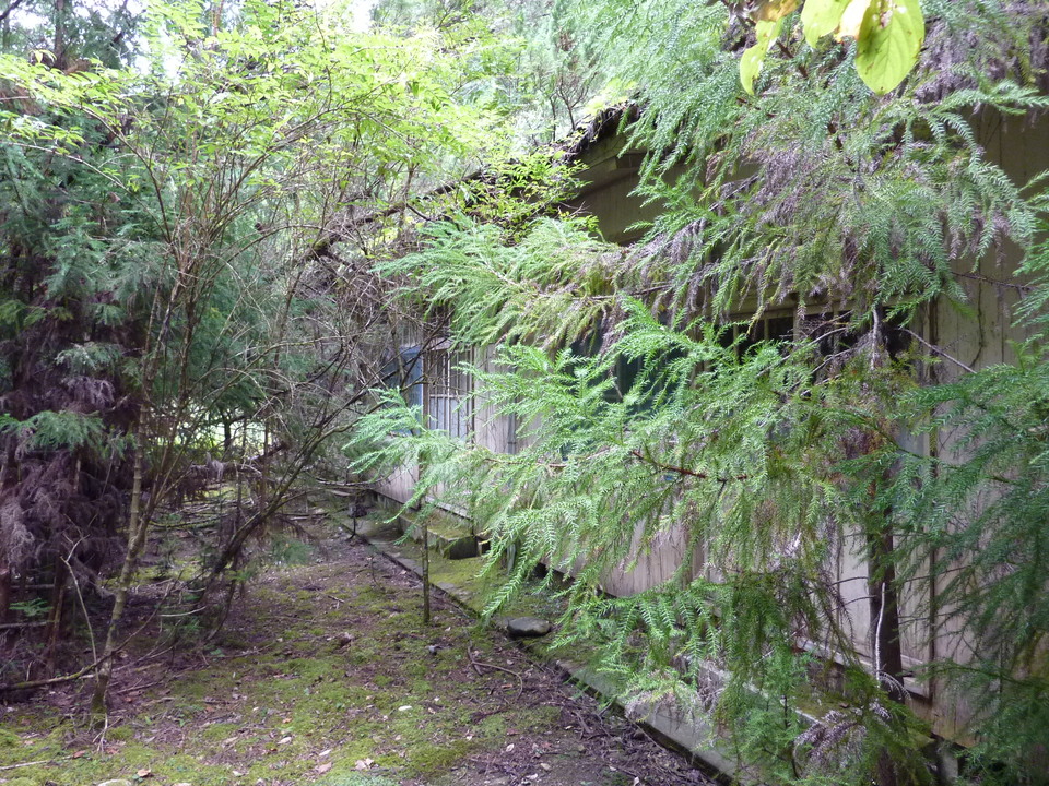 P1050031_mid.jpg
