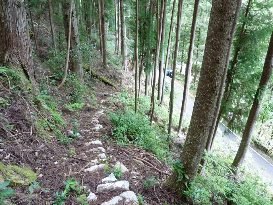 P1050042_mid.jpg
