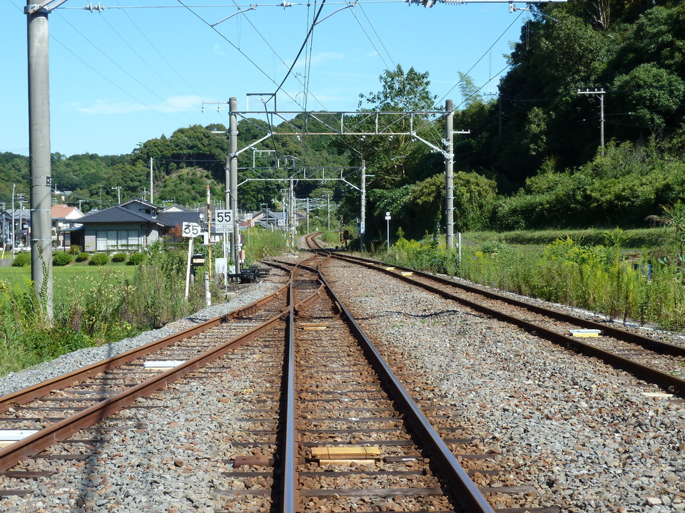 P1000017_mid.jpg