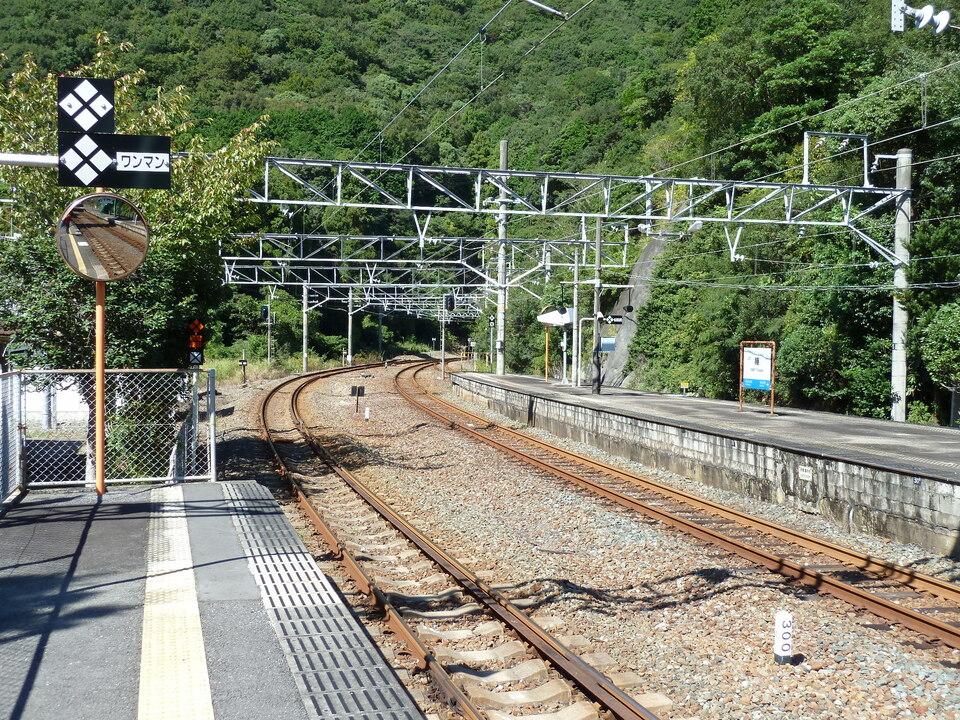 P1000044_mid.jpg
