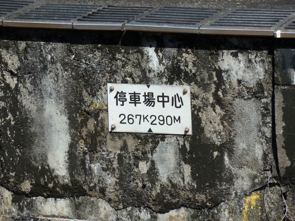 P1000050_mid.jpg
