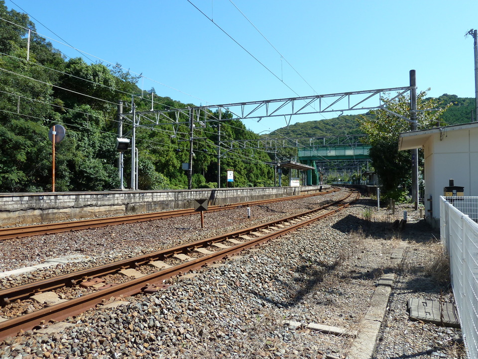 P1000051_mid.jpg